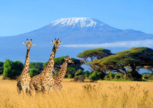 Kenya Visa